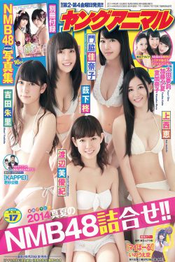 新的哥哥
