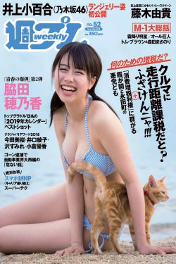 第二十条