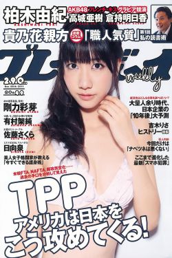 新的哥哥