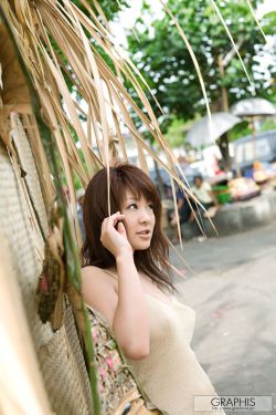 新的哥哥