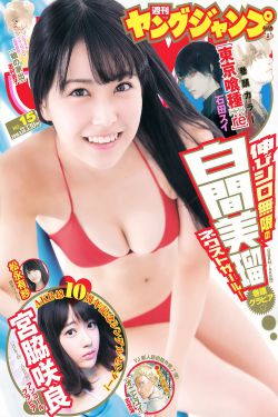 第二十条